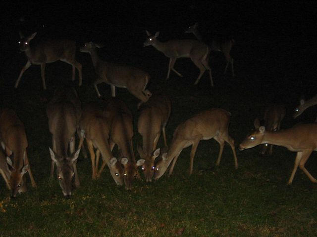 image0040